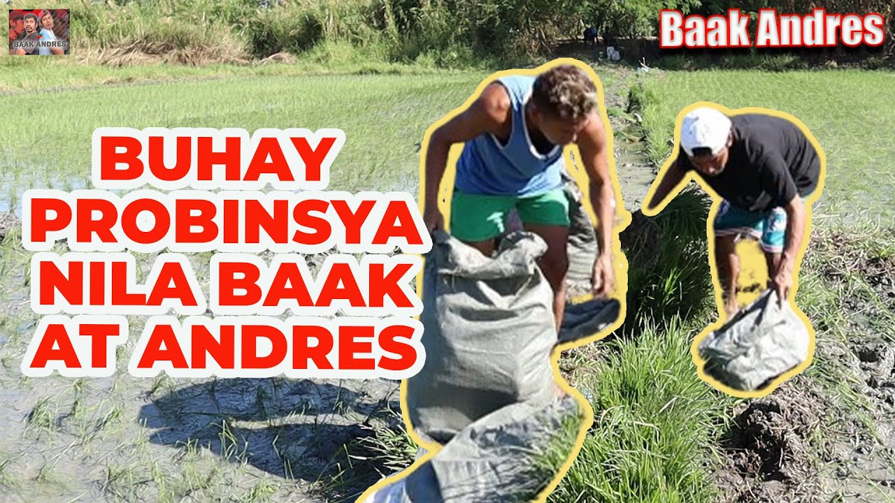 Buhay probinsya nila Baak at Andres - Baak Andres