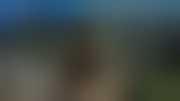 The Last Of Us Part 2 - 100% Walkthrough: Episode 53, The Coast (Survivor, All Collectibles)