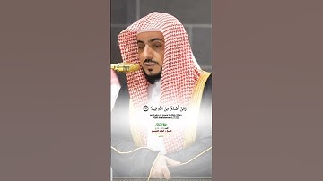 والذين آمنوا وعملوا الصالحات_سورة النساء_صلاة العشاء 29 ذوالقعدة 1446هـ_فضيلة الشيخ د.الوليد الشمسان