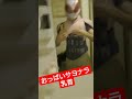 仮面ライダー乳首モゲル