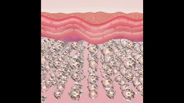 How LED Red Light Therapy works on collagen