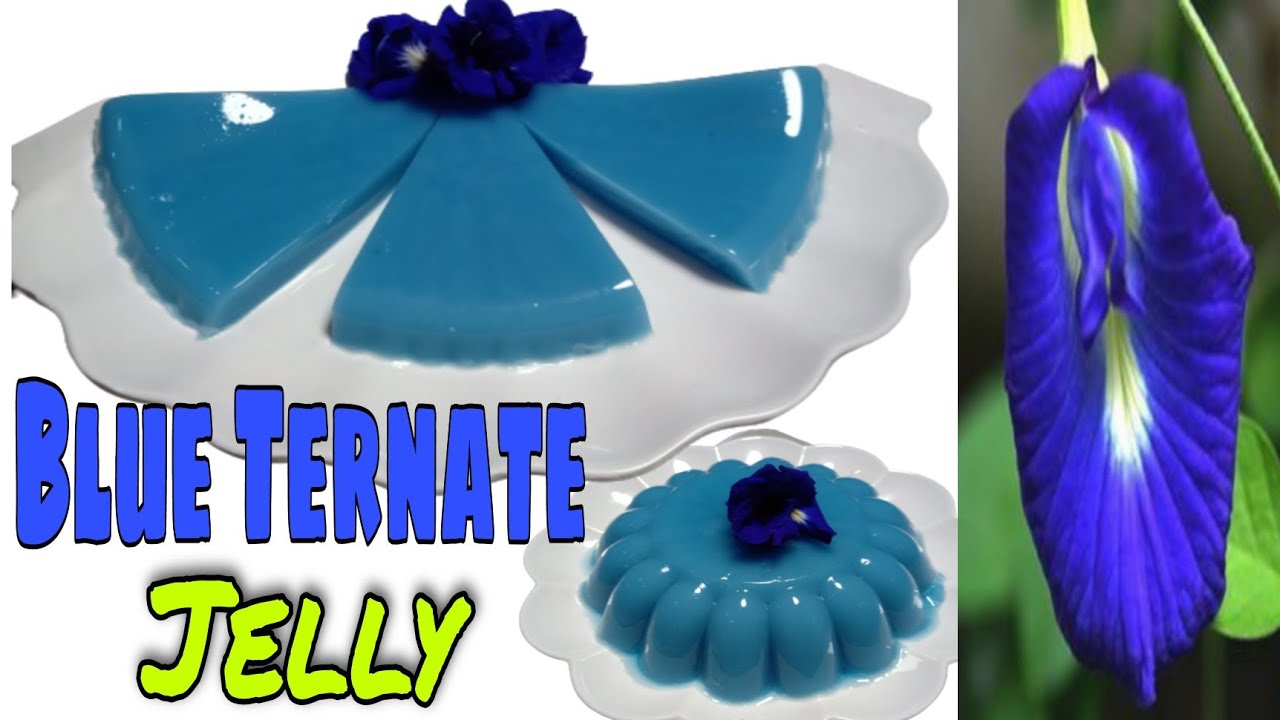 Blue Ternate Jelly Butterfly Pea Flower Jelly YouTube