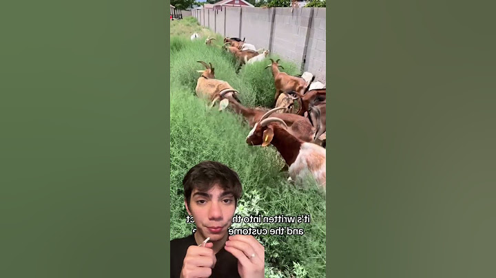 Limpeza de terrenos feita por cabras? 🐐 Genial!  Compartilhe e siga! #Curiosidades #Inovação