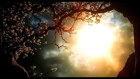 From Fear to Freedom: Breaking the Beliefs That Bind You