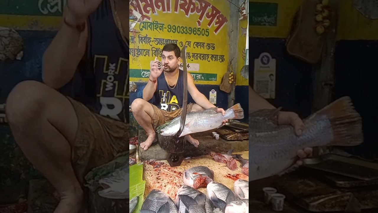 bhetki fish cutting |bhetki fish cutting skills|bhetki fish cutting Kolkata|California fish grill