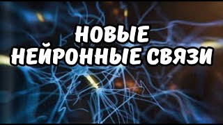 Новые нейронные связи