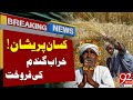 Farmers Express Concerns Over Poor Wheat Sales | Latest Breaking News | 92NewsHD