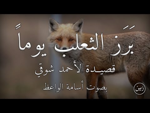 برَز الثعلب يوماً - قصيدة لأحمد شوقي | بصوت أسامة الواعظ