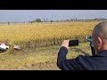 Remote control paddy reaper