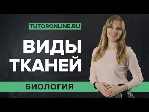 Виды тканей: покровная, механическая, проводящая ткань | Биология | TutorOnline