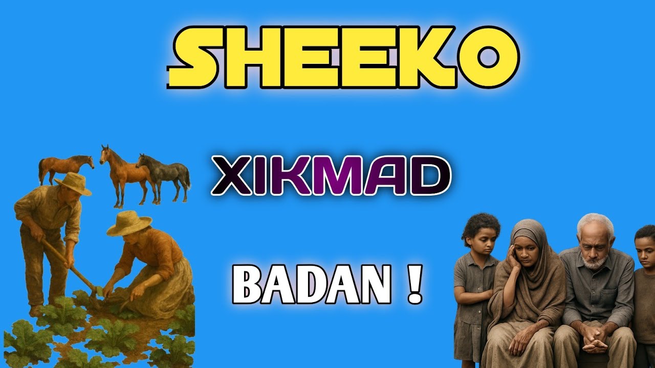 SHEEKO XIKMAD BADAN ✔️