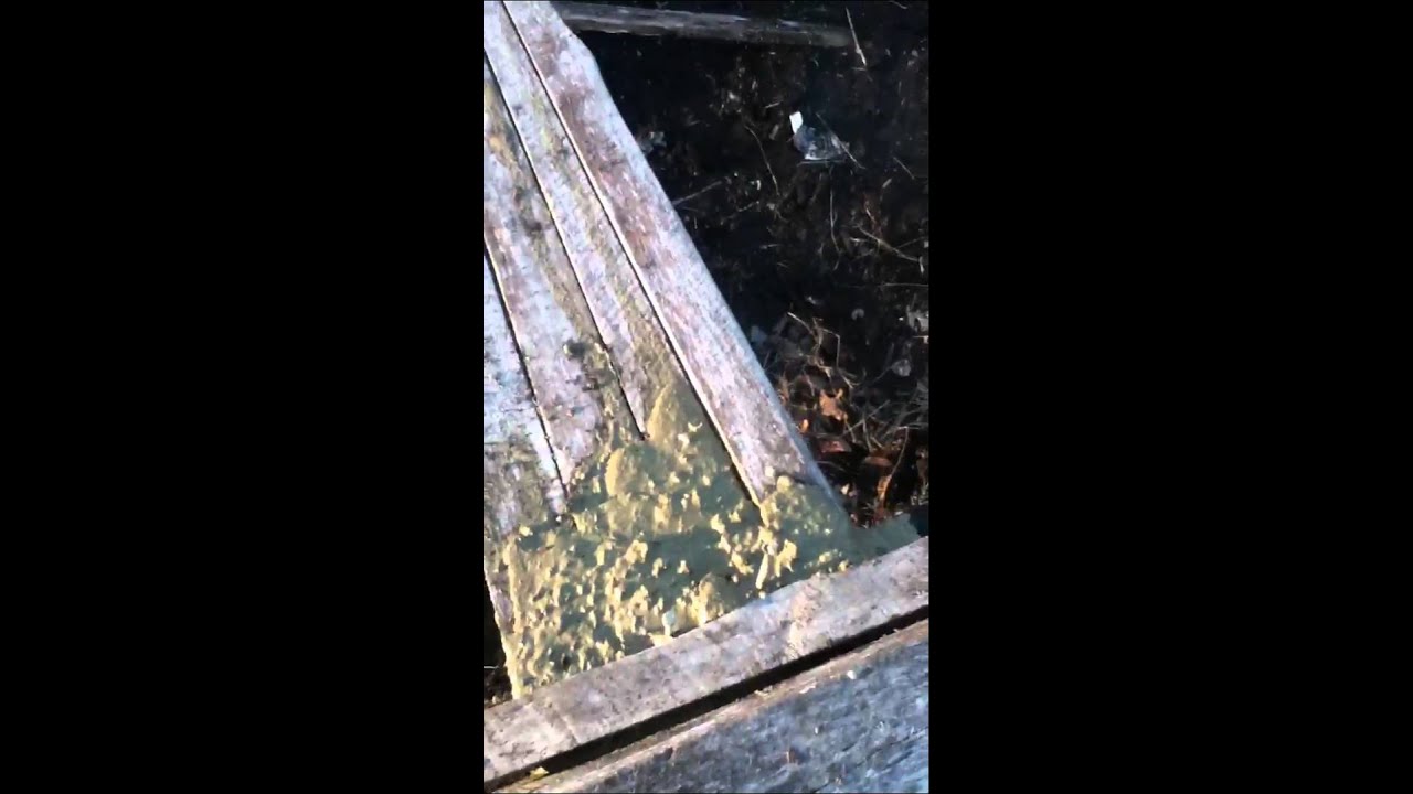 Running away part 5