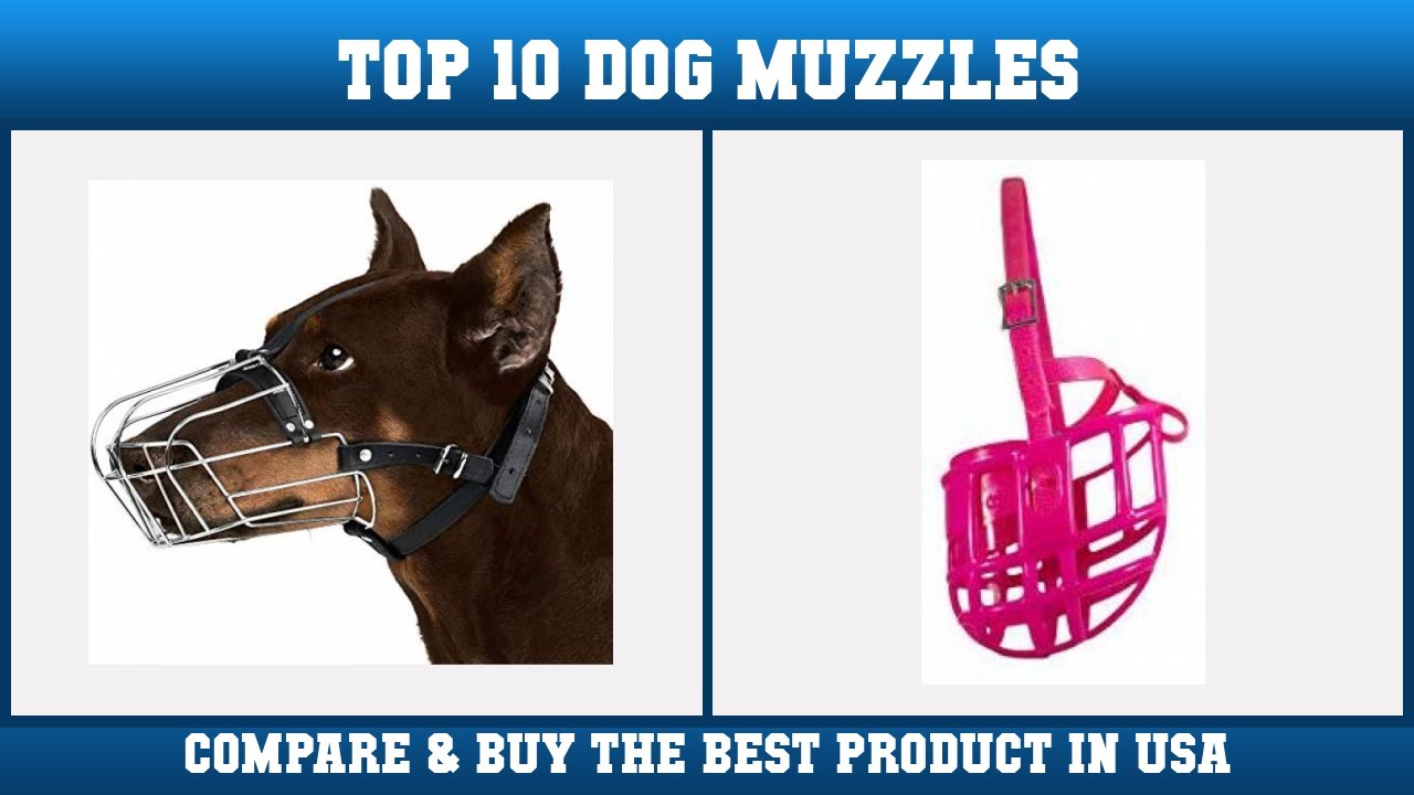 Top 10 Dog Muzzles to buy in USA 2021 | Price & Review