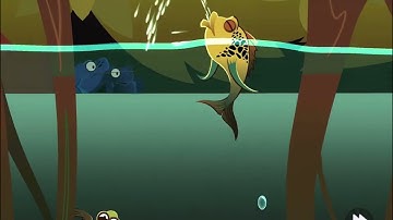 Level 4: The Amazon Rainforest