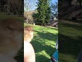 Baby bird wants to hang out