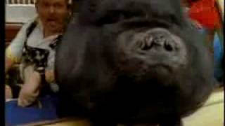 Cledus T. Judd - Skoal The Grundy County Spitting Incident ( Official Music Video ) Wealth