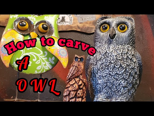 Beginner Dremel/foredom Wood Carving a Silly Little OWL using Kutzall Carving  burrs. 