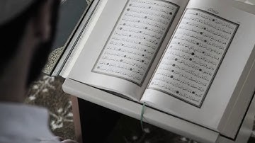 سورة القلم | إبراهيم الدويسان