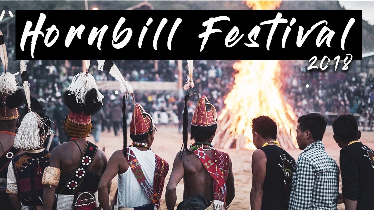 Hornbill Festival 2018 Nagaland tourism  Unity Dance  20 feet tall bonfire  Hopping Bug