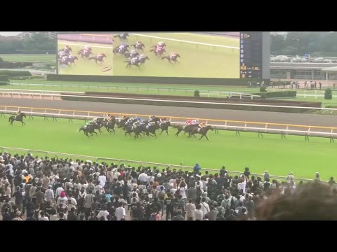 東京競馬場 エプソムカップ GIII 2023.06.11