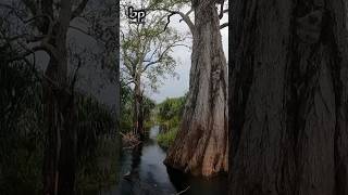 BEAUTIFUL FISHING SPOT FOR A BEAUTIFUL FISH