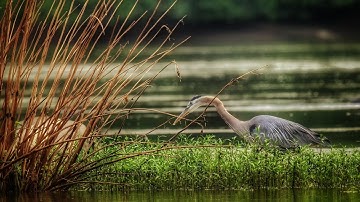 Letting Go of Being Cool and the Easing of the Ego with Jonathan Foust