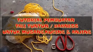 Tutorial mudah membuat tali tuntun / harness untuk musang,kucing dan anjing