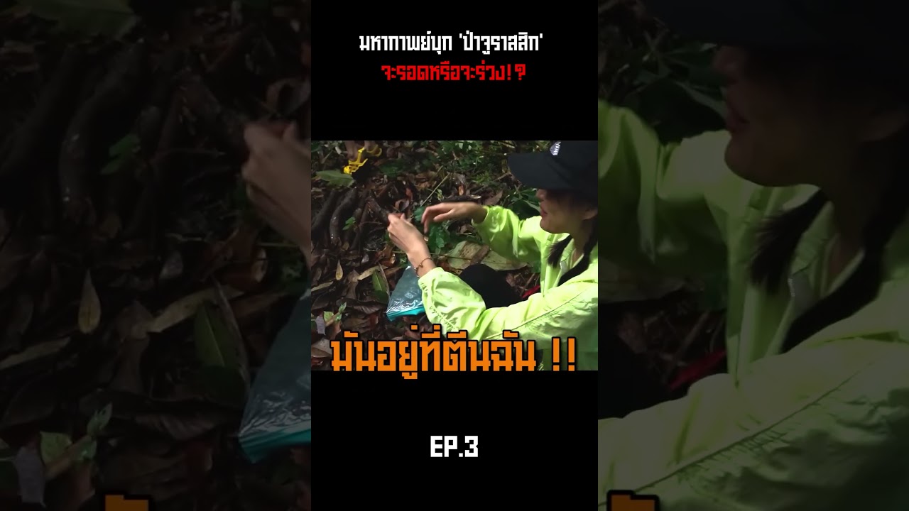 มหากาพย์บุก 'ป่าจูราสสิก' จะรอดหรือจะร่วง!?  @Jocho_Sippawat