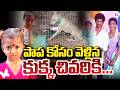 Dog Passed Away | అయ్యో కుక్క...! | Kakinada District Two Years Girl Incident | SumanTV