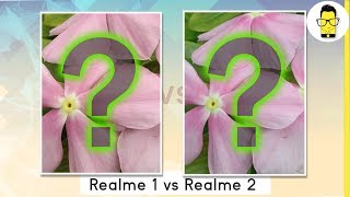 Realme 2 vs Realme 1 camera comparison: blind test