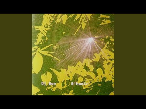 DJ Ben — I Fell