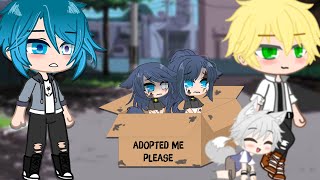 No One Adopted her...but‼️?Full Season 2MemeMiraculous LadyBug MLB My AuPlot twistGacha Club