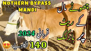 Nothern Bypass Mandi Latest Rates Update | 140K Lgadiye | 15 May 2024| Bakra Eid Season 2024