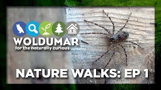 Nature Walks @ Woldumar: Episode 1