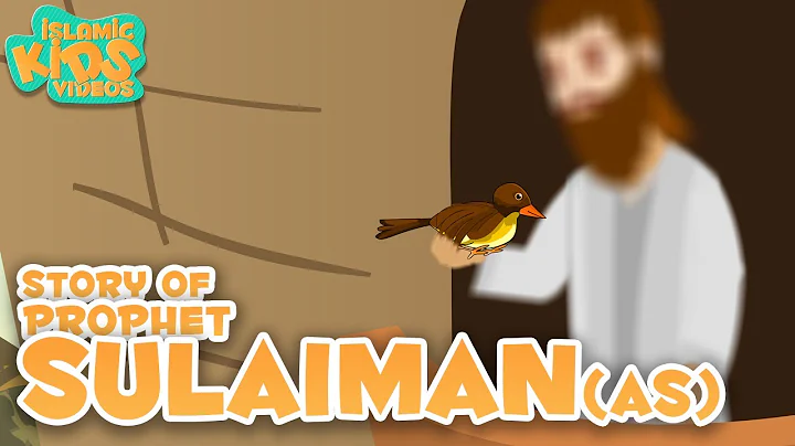 Prophet Stories In English | Prophet Sulaiman (AS) Story|  Stories Of The Prophets | Quran Stories
