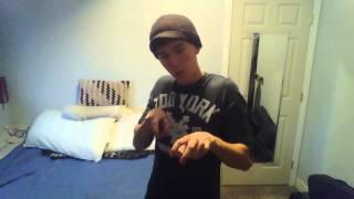 ASL 2 Deaf Function Video Report #2