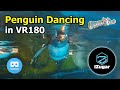 VR180 Penguin Dancing at South Pole Spectacular