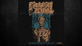 Carnal Tomb - Embalmed in Decay