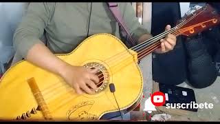 COPLAS DE DOS TIPOS DE CUIDADO (PEDRO INFANTE Y JORGE NEGRETE) GUITARRÓN (IMPROVISACIÓN)