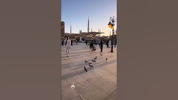 حالات واتس - إن الله وملائكته يصلون على النبي - بصوت القارئ هيثم الدخين