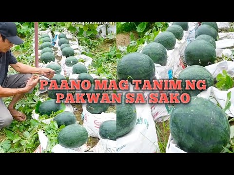 Video: Administrator ng hotel: mga tungkulin at tungkulin