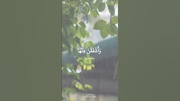 إنا عرضنا الأمانة #القرآن_الكريم #سورة_الأحزاب #يوسف_الصقير #quran #allahswt #islam #explore