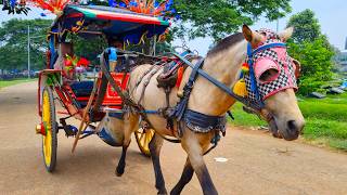 NAIK KUDA ~ KUDA DELMAN ~ NAIK DELMAN ISTIMEWA ~ KALAU KAU SUKA HATI ~ DI SINI SENANG DI SANA SENANG