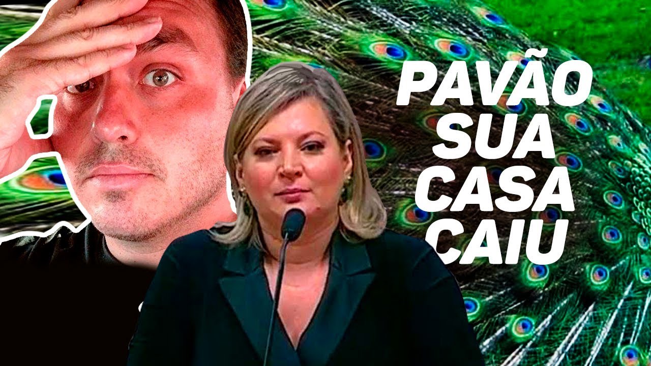 Joice Hasselmann fala sobre o Pavão Misterioso e Gabinete do Ódio de Bolsonaro na CPMI das Fake News