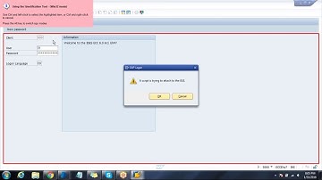 Online Class2 sap Automation MP4