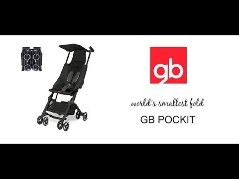 smallest buggy in the world