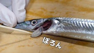 高級魚の頭に寄生する『海のダンゴムシ』が衝撃すぎた。。