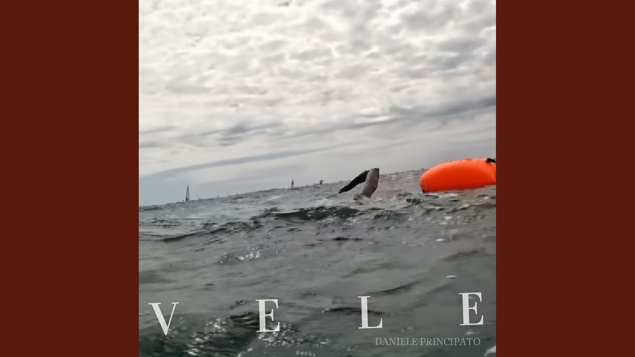 Watch Vele on YouTube Watch Vele on YouTube