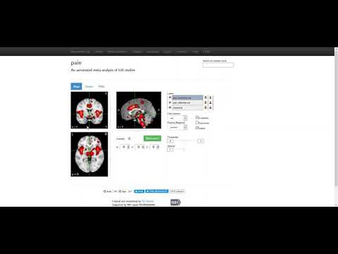 Neurosynth Demo
