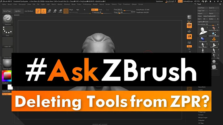 #AskZBrush: “How can I delete Tools that are no longer needed when saving a *.ZPR file?”